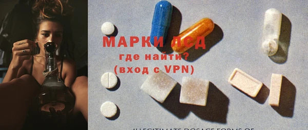 молекула духа Арсеньев