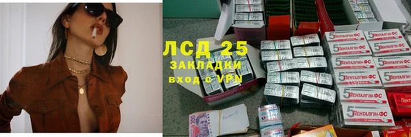 молекула духа Арсеньев
