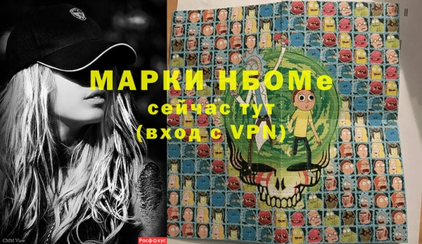 молекула духа Арсеньев