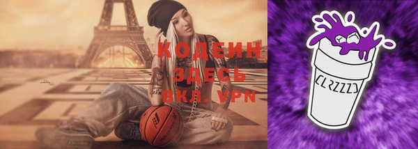 молекула духа Арсеньев