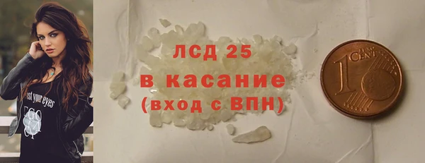 молекула духа Арсеньев
