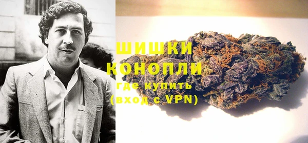 молекула духа Арсеньев