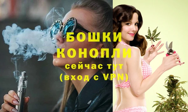 сатива Армянск