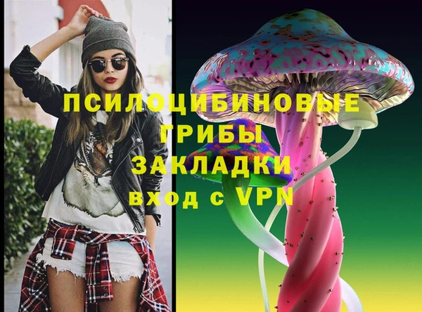молекула духа Арсеньев
